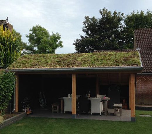 tuinhuis groen dak